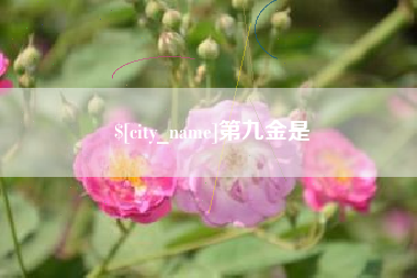 永兴第九金是