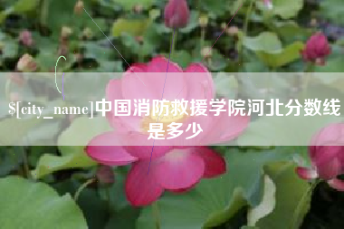 永兴中国消防救援学院河北分数线是多少