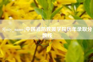 永兴中国消防救援学院历年录取分数线