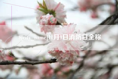 永兴11月9日消防日全称