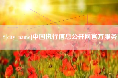 永兴中国执行信息公开网官方服务