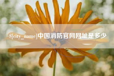 永兴中国消防官网网址是多少