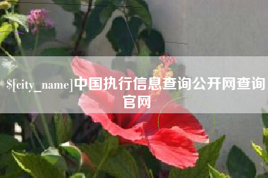 永兴中国执行信息查询公开网查询官网
