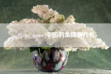 永兴中国的金牌有几名