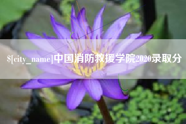 永兴中国消防救援学院2020录取分