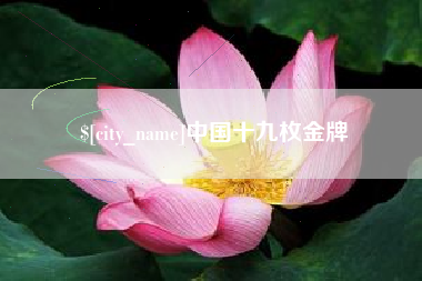 永兴中国十九枚金牌