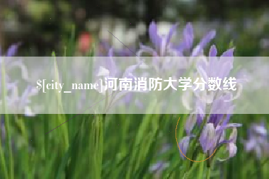 永兴河南消防大学分数线