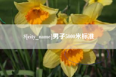 永兴男子5000米标准
