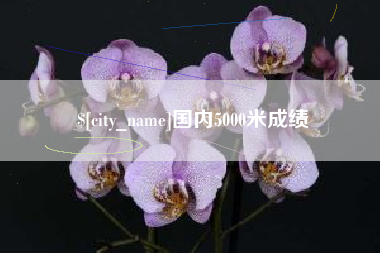 永兴国内5000米成绩