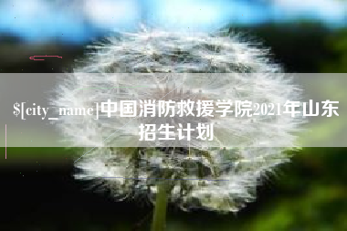永兴中国消防救援学院2021年山东招生计划