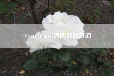 永兴消防证的查询