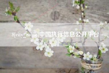 永兴中国执行信息公开平台