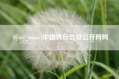 永兴中国执行信息公开网网
