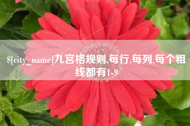 永兴九宫格规则,每行,每列,每个粗线都有1-9