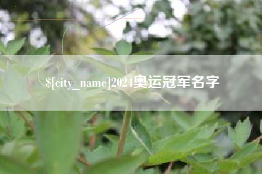 永兴2024奥运冠军名字