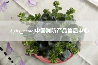 永兴中国消防产品信息中心