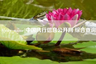 永兴中国执行信息公开网 综合查询