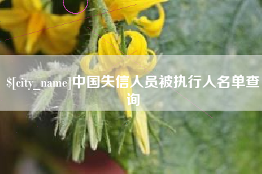 永兴中国失信人员被执行人名单查询