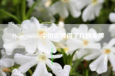 永兴中国金牌得了几枚金牌