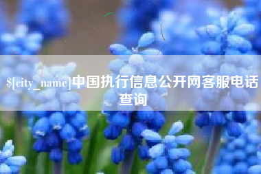 永兴中国执行信息公开网客服电话查询