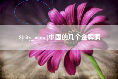 永兴中国的几个金牌啊