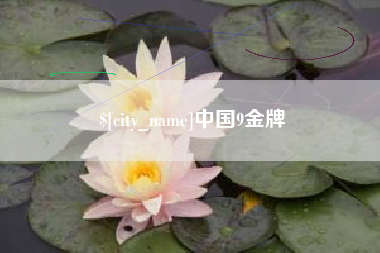 永兴中国9金牌