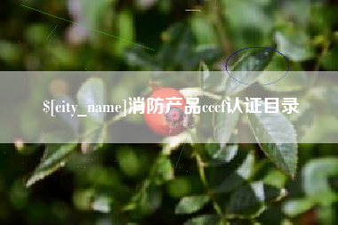 永兴消防产品cccf认证目录