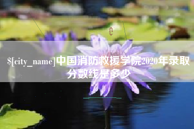 永兴中国消防救援学院2020年录取分数线是多少