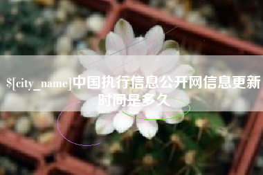 永兴中国执行信息公开网信息更新时间是多久