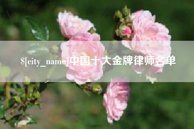 永兴中国十大金牌律师名单