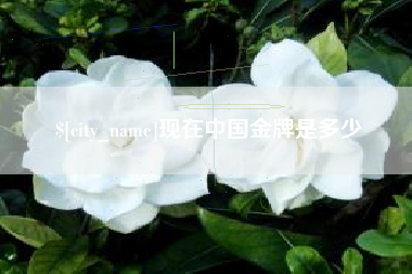 永兴现在中国金牌是多少