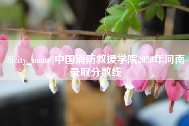 永兴中国消防救援学院2020年河南录取分数线