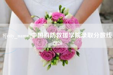 永兴中国消防救援学院录取分数线2020