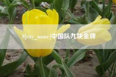 永兴中国队九块金牌