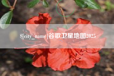 永兴谷歌卫星地图2025