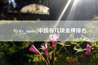 永兴中国有几块金牌排名