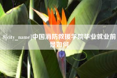 永兴中国消防救援学院毕业就业前景如何