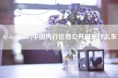 永兴中国执行信息公开网是什么东西