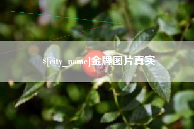 永兴金牌图片真实