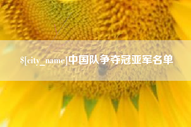 永兴中国队争夺冠亚军名单