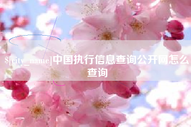 永兴中国执行信息查询公开网怎么查询