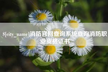 永兴消防官网查询系统查询消防职业资格证书
