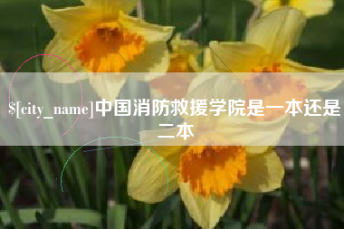 永兴中国消防救援学院是一本还是二本