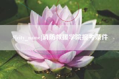 永兴消防救援学院报考条件