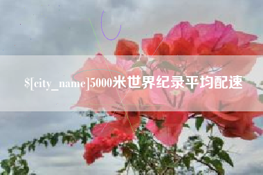 永兴5000米世界纪录平均配速