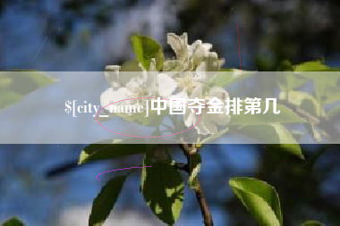 永兴中国夺金排第几