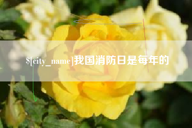 永兴我国消防日是每年的