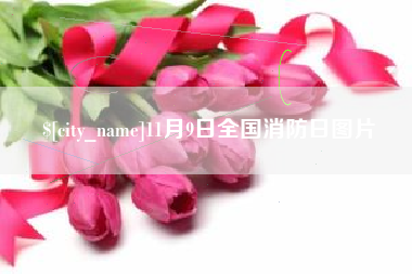 永兴11月9日全国消防日图片