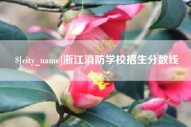 永兴浙江消防学校招生分数线