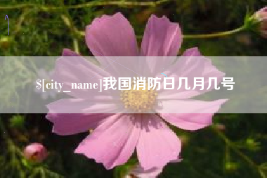 永兴我国消防日几月几号